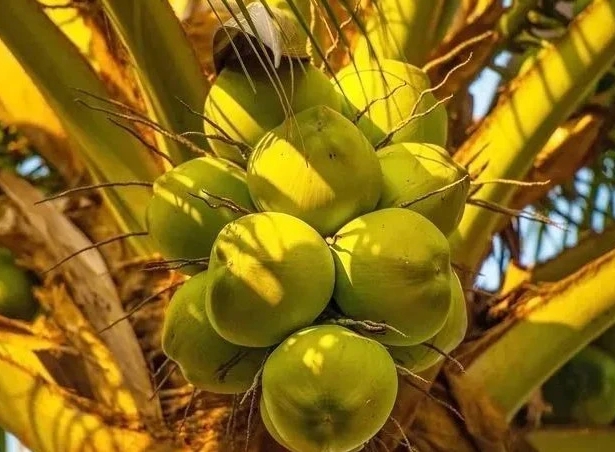 1699944356847770.png 微信截图_20231113105016.png