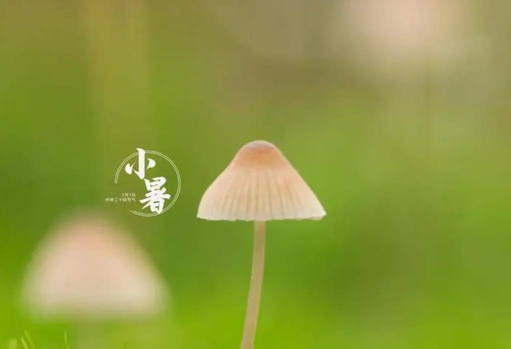 ΢�Ž�ͼ_20240704160619.png