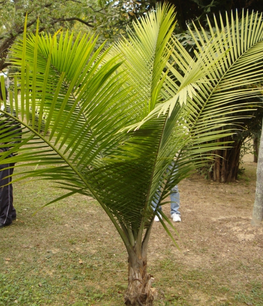 ΢�Ž�ͼ_20240918153837.png