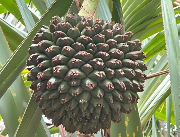 ΢�Ž�ͼ_20241231154902.png