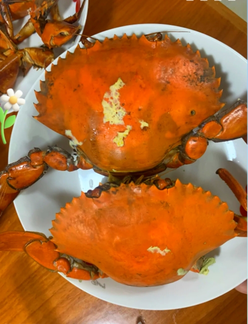 ΢�Ž�ͼ_20250506154433.png