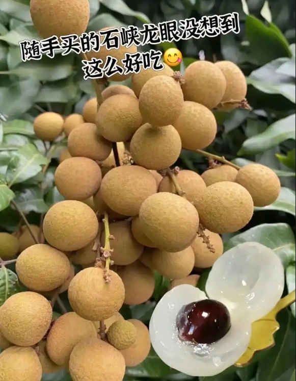 ΢�Ž�ͼ_20250509151327.png