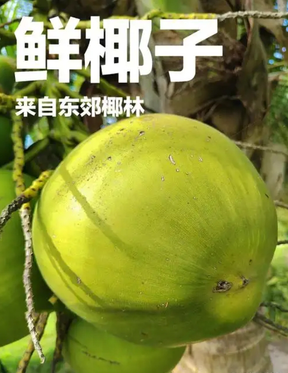 ΢�Ž�ͼ_20250522145105.png