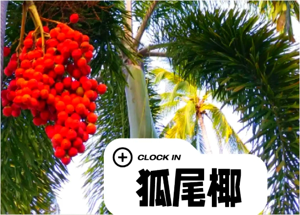΢�Ž�ͼ_20250610152202.png