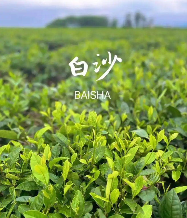 微信截图_20250617155551.png