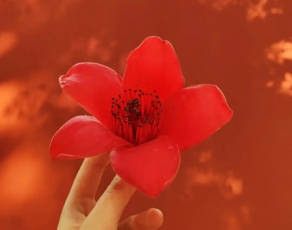 ΢�Ž�ͼ_20250708154825.png